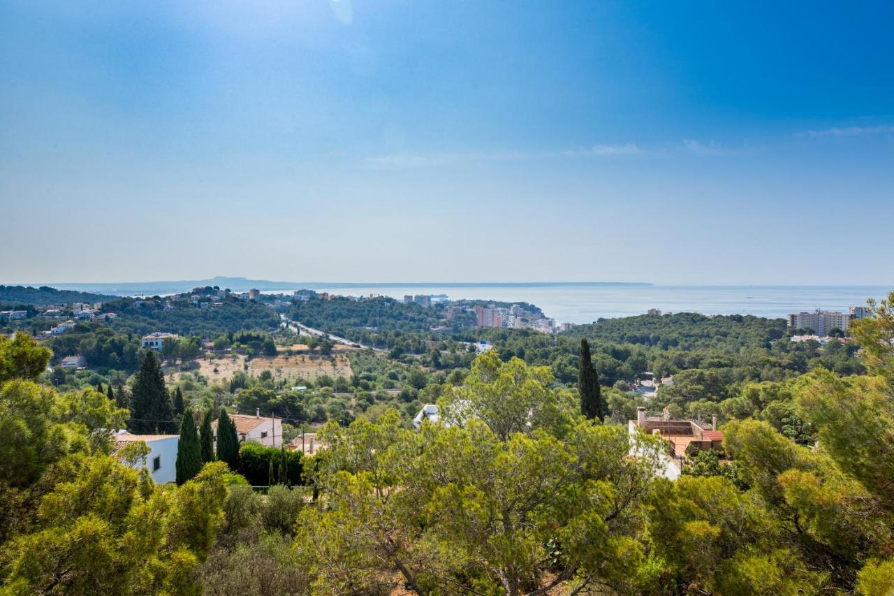 Big Villa Can Pedro in Palma di Maiorca Esterno foto